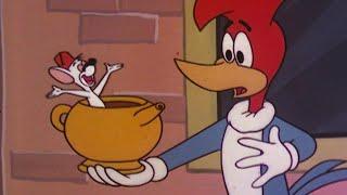 The Genie's Magic Lamp | 2.5 Hours of Classic Cartoons | Woody Woodpecker