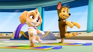 PAW Patrol - Pup Pup Boogie | Season 1 Compilation | WildBrain Zoo | Cartoons of Kids