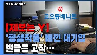 [제보는Y] '평생 작품' 베낀 대기업에 벌금 5백..."양형 현실화해야" / YTN