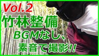 【田舎作業】【里山整備】竹林を伐採。間引きすることで快適な竹林空間をつくる!!作業動画でBGMなしです。#稲屋の田舎チャンネル