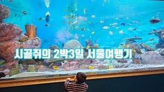 서울여행 Vlog 서울살고 싶다...(코엑스아쿠아리움, 서대문자연사박물관, 프리미엄고속버스, 팀호완)