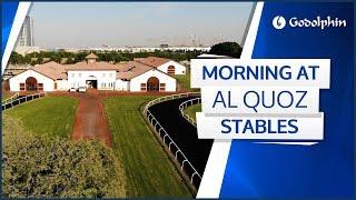 Another glorious morning at Godolphin's Al Quoz Stables in Dubai