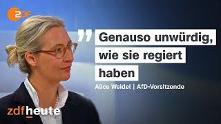 Ampel-Ende: Alice Weidel teilt aus