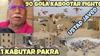 Javed ustad ki nai chhat | 90 kabutaron ki ladaiyan | New Gola kabutar| 1 kabutar pakra |