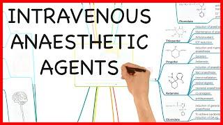 INTRAVENOUS ANAESTHETIC AGENTS- PHARMACOLOGY SERIES