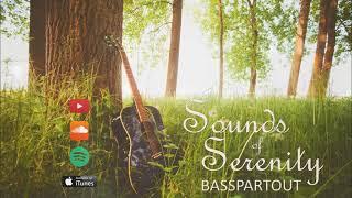 Sounds Of Serenity (Full Album) | Beautiful Acoustic Instrumental Background Music for Video