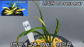 11월26일 입실 추천품으로 소개합니다 ^^