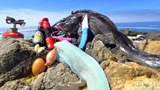 BLUE MEAT Salt and Pepper Fish Fillet Cooked on the Spot - Delicious Recipe and Fishing Tips