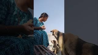 என் சந்தோஷம் | #comedy #dog #viralvideo #funny #youtubeshorts #shortsfeed #shorts