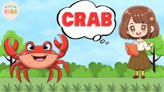 Crab Facts For Kids  Learn All About Crabs | MON Kids