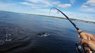 Kayaking Glass Calm Waters Searching for Big Stripers