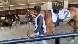 2024 Prince Of Wales Stakes paddock