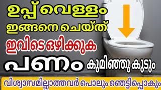 ഉപ്പ് ഇങ്ങനെ ചെയ്താൽ കിടന്നുറങ്ങിയാലും പണം വരും Panavasyam