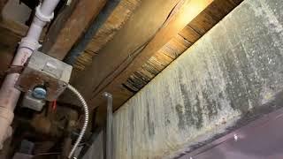 Check out this hidden floor damage on a flip #bloodhoundhomeinspection #flippinghouses