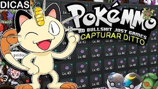 DICAS PARA CAPTURAR DITTOS NO POKEMMO