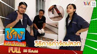 วิธีกำจัดปลวกง่ายๆ ช่วยลดปัญหาบ้านพัง! | ช่างประจำบ้าน | 25 มี.ค.66 | FULL