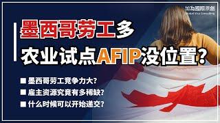 加拿大农业试点AFIP名额太少？抢不到？墨西哥劳工又太多？