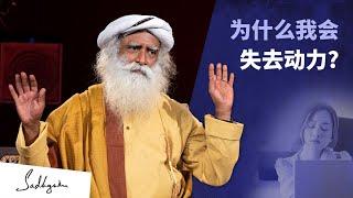 为什么我会失去动力？| Sadhguru 萨古鲁