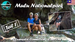 Mulu Nationalpark ∙ Die Clearwater Connection Cave Tour ∙ Teil 1 ∙ Borneo ∙ Weltreise Vlog #105