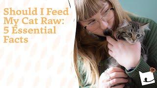 Should I feed my cat raw? | 5 essential facts