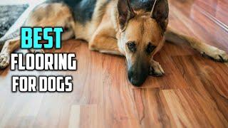 Top 5 Best Flooring for Dogs With Wood-Look Planks | Siliceous | MaxCore [Review in 2023]