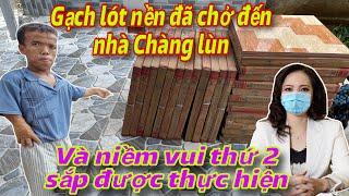 Gạch lót nền đã đến nhà chàng Lùn và điều ước đầu tiên sắp được thực hiện