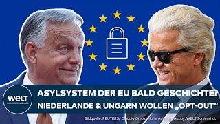 EUROPÄISCHE UNION: Erschütterung in der Asylpolitik! Ungarn und Niederlande wollen "opt-out"