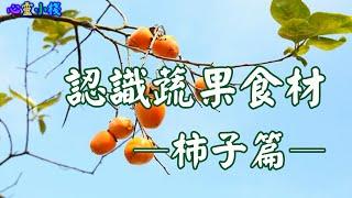 【心靈小棧】心靈小棧-蔬果食材篇-柿子(Persimmon) #知識 #教育