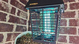 How Good is the FlowTron Bug Zapper? Really Good!