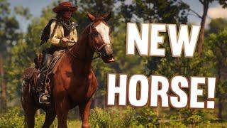 FIRST HORSE! | RDR2 Realistic Roleplay *The Rift*