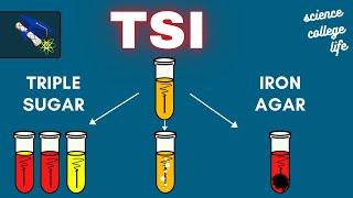 TSI | Triple Sugar Iron Agar Test | Microbiology Lab