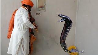 A snake entered the bucket. Safdar Jogi caught the snake by playing music| Naag JOGI New video|Cobra