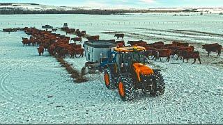 Farmer Keeping 300+ Women Happy With a Penta TMR Mixer