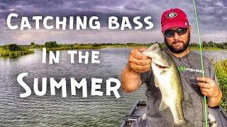 Bass Fishing in the Summer - Only 3 Hours to Fish