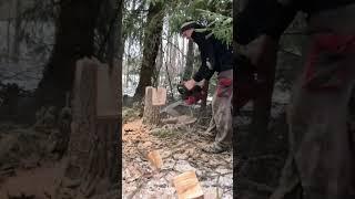 Chainsaw #tricks #tips #shorts