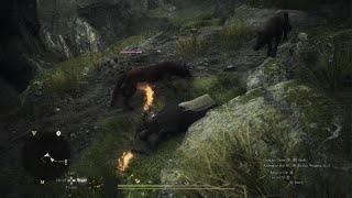 Are you mocking me..? (Dragon's Dogma 2)