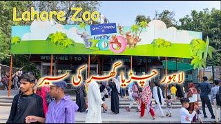 Lahore Zoo 2023 | Wildlife Park In Lahore Pakistan | discovery animal park #lahorezoo #lahorezoo2023