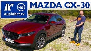  2019 Mazda CX-30 SKYACTIV-G 2.0 M Hybrid FWD - Kaufberatung, Test, Review, Fahrbericht