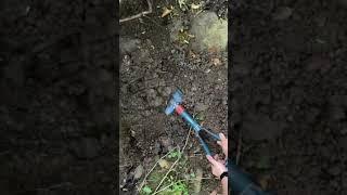 We Found Three Priceless Treasures / Metal Detecting ( Shorts )