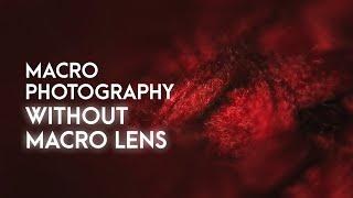 MACRO PHOTOGRAPHY without MACRO LENS in HINDI / Macro Photography ideas at home / AniThing