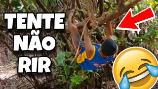 TENTE NÃO RIR: OS MELHORES VÍDEOS DA INTERNET #videosengracados #humor #tiktok #tentenaorir #comedia