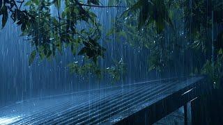 Deepest Sleep In Just 3 Minutes With Heavy Rain On The Roof & Thunder For Insomnia, Relaxing