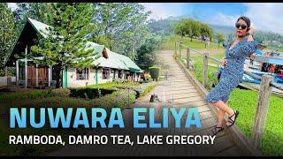 Nuwara Eliya Little England - Most Beautiful Places to Visit - Travel Vlog