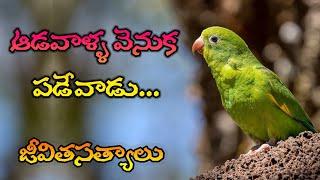 జీవిత సత్యాలు #358 |మంచి మాటలు|Inspirational quotes|Motivational quotes|సూక్తులు|Telugu quotes