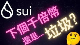 SUI會是下一個千倍幣嗎? 我教你如何分辨一個山寨幣項目是好是壞