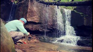 CRANBERRY WILDERNESS - NORTH SOUTH LOOP - HAMMOCK CAMPING IN THE RAIN