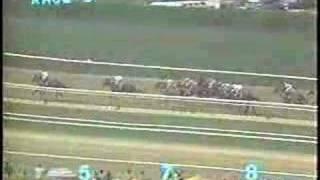 1988 Santa Anita Derby