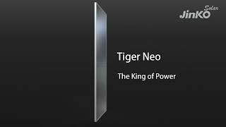 Jinko solar panel Tiger NEO