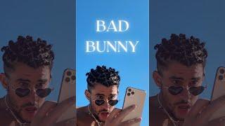 "Bad Bunny" | moodluxx