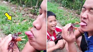 Best Funny Videos Compilation   Cute And Fails  Human Being Idiots P5